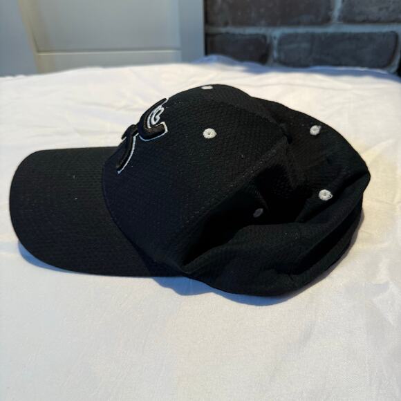 Ash Hooey Flexfit Cap - Picture 3 of 7